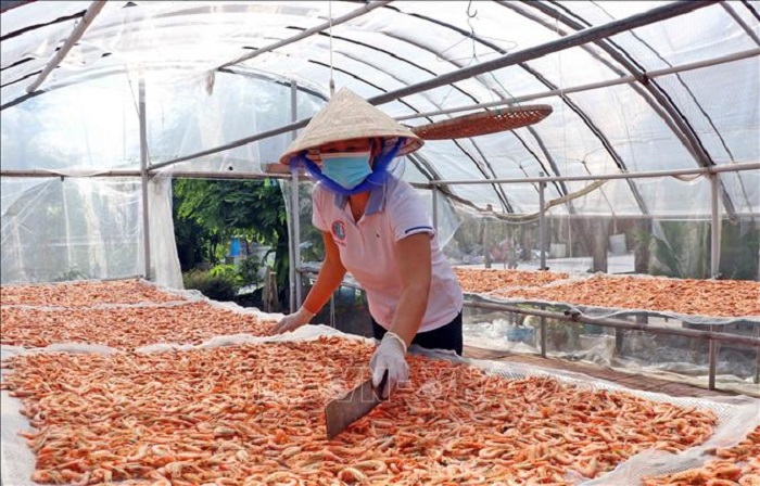Phơi và bóc vỏ tôm