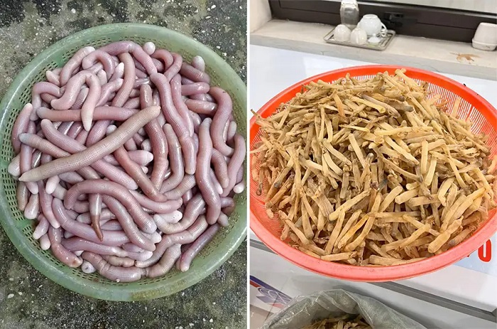 1kg sá sùng bao nhiêu con?
