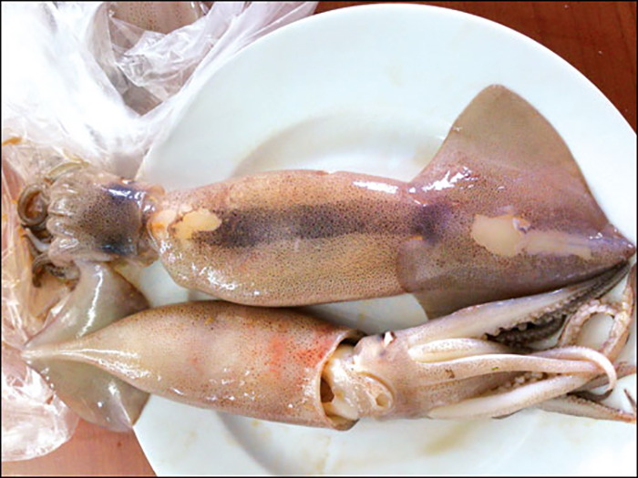 Mực một nắng kém chất lượng "trà trộn" trong thị trường mực tại Việt Nam