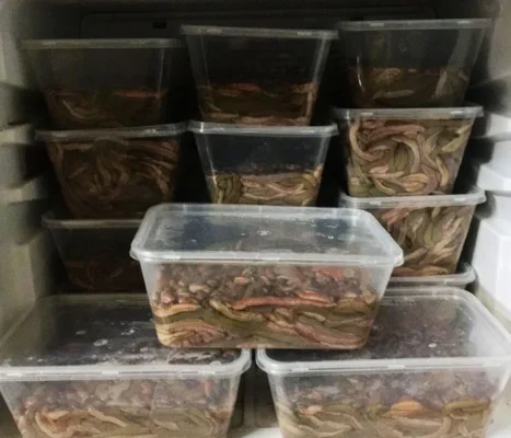 Nhưng nếu không biết cách rã đông rươi đúng nhất sẽ khiến món ăn không ngon, thậm chí còn gây hại cho sức khỏe.