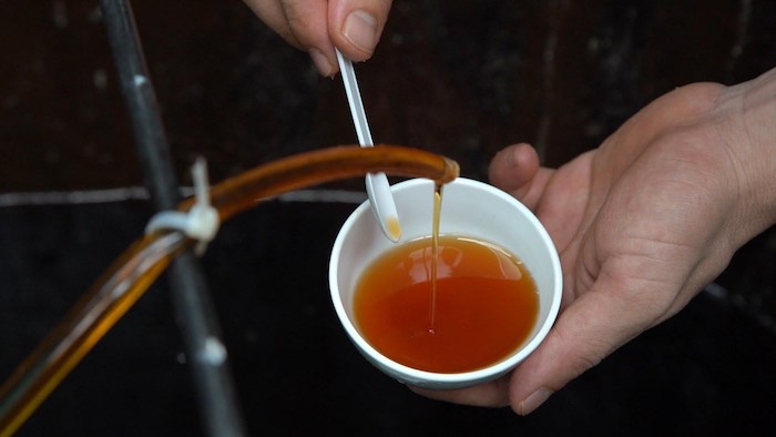 Nước mắm sá sùng có ngọt không? 