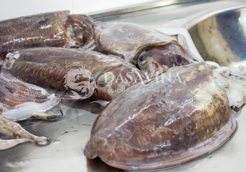 Những con mực mai tươi sẽ làm chả mực ngon nhất