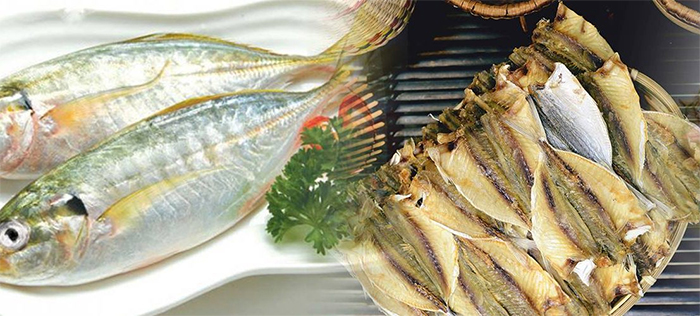 Cá chỉ vàng khô của DASAVINA được lựa chọn kỹ lưỡng, cẩn thận từng con một tại vùng biển Hạ Long Quảng Ninh