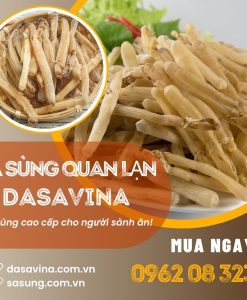 DASAVINA - địa chỉ cung cấp sá sùng UY TÍN - CHẤT LƯỢNG số 1 tại Viêt Nam