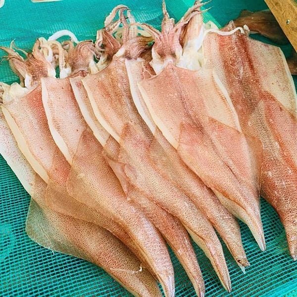Giá mực một nắng phụ thuộc vào nguồn gốc và chất lượng sản phẩm