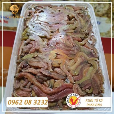 Rươi Đông Lạnh Làm Gì Ngon? 3 Cách Chế Biến Lạ Miệng, Dễ Làm