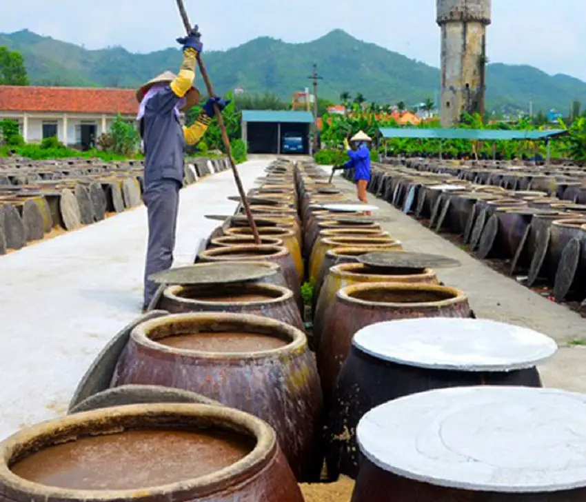 Quy trình làm nước mắm sá sùng cần sự tỉ mỉ từ khâu nguyên liệu đến khi hoàn thiện
