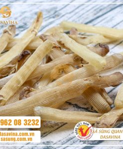 DASAVINA - Sá sùng Quan Lạn số 1 tại Hà Nội