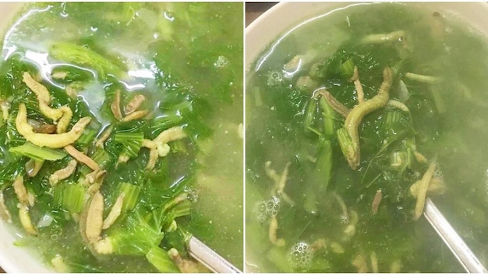 Cách chế biến canh rươi rau cải