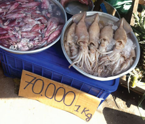 Mực một nắng kém chất lượng có giá thành rất rẻ