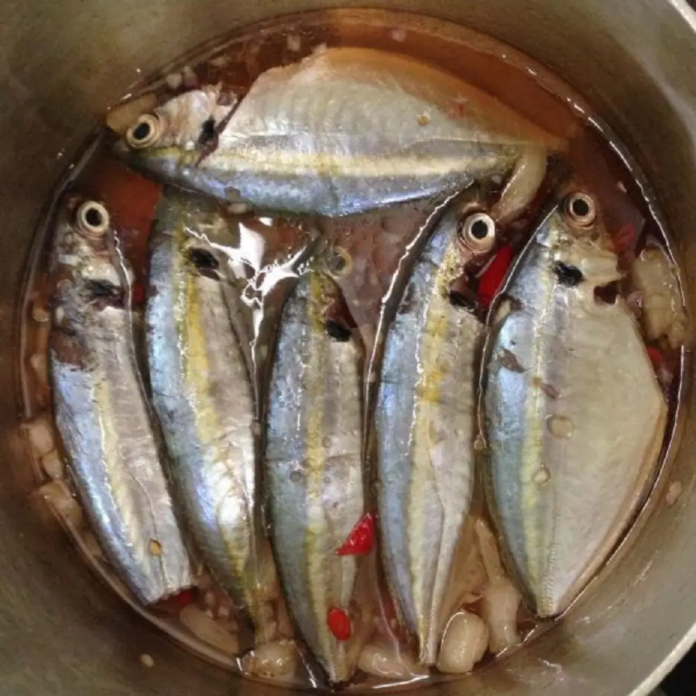 Xếp cá vào nồi và thêm lượng nước vừa phải để kho