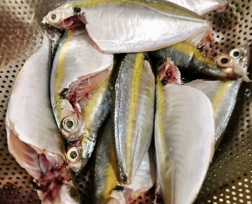 Sơ chế cá chỉ vàng cho sạch và bớt tanh trước khi kho