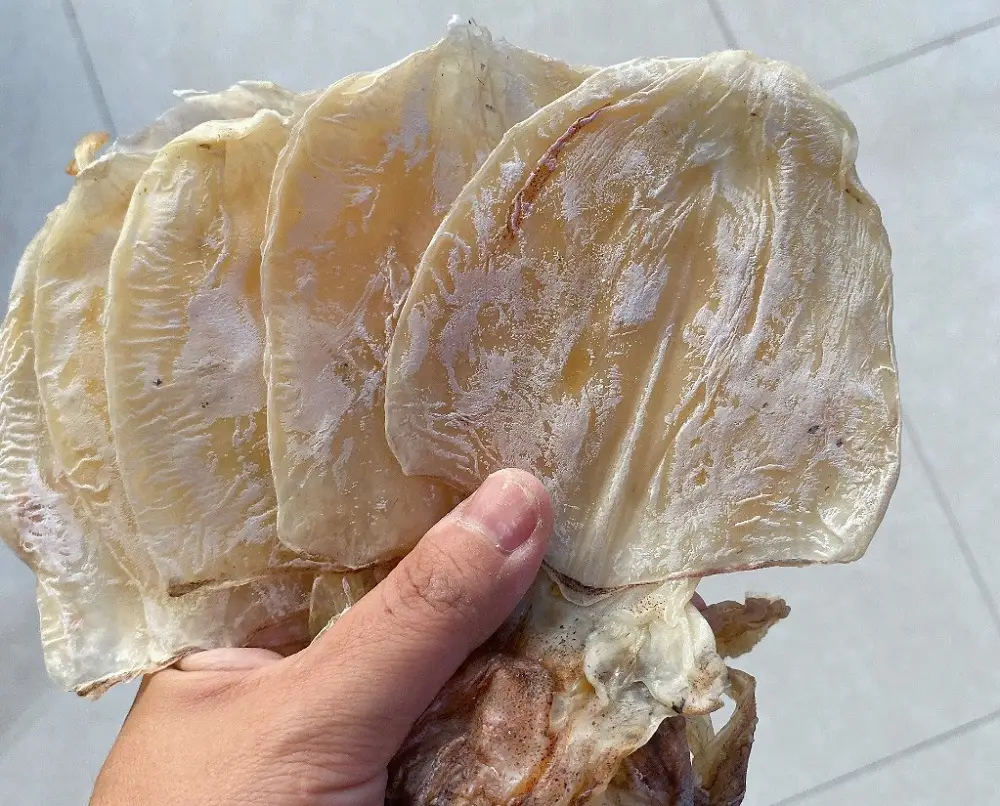 Cầm trực tiếp để xem chất lượng của mực lá khô