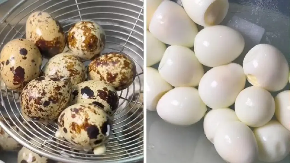 Luộc trứng cút xong lột vỏ