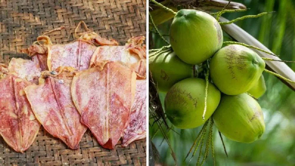 Nguyên liệu làm khô mực hấp nước dừa