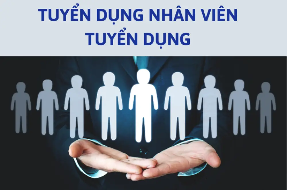 Tuyển dụng nhân viên tuyển dụng tại Công ty TNHH Thương Mại Đặc Sản Việt Nam